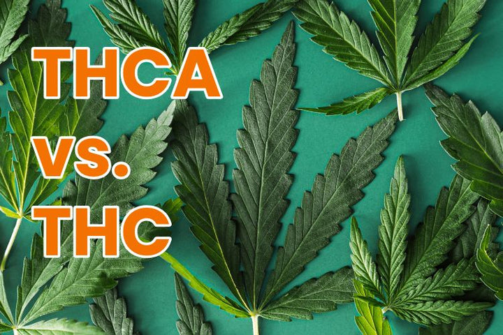 THCA vs THC: Which is Stronger?