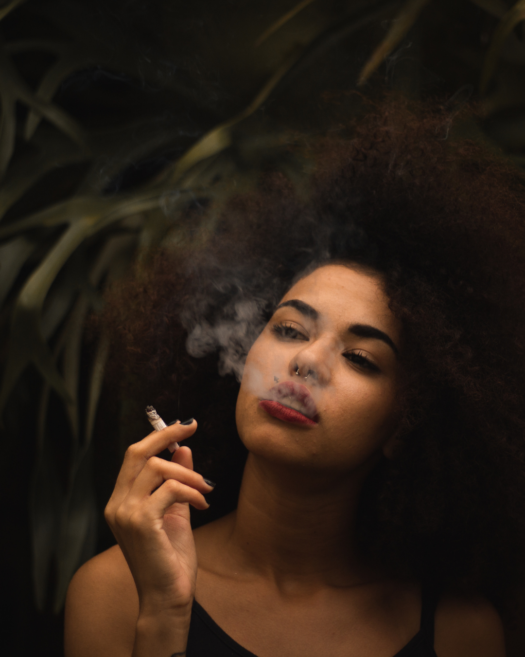 Indoor THCA Flower Blue Dream (Sativa) - Bulk