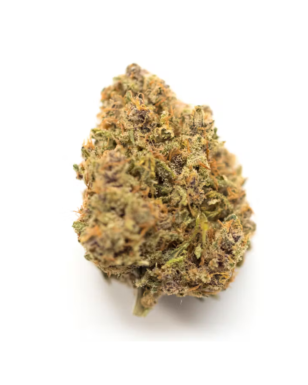King Louis (Indica) THCA Flower by Top Shelf Hemp – premium thca flower buds