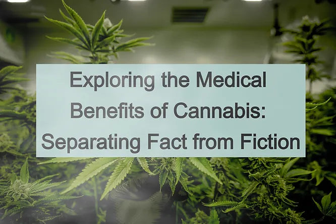 Exploring the Medical Benefits of Cannabis: Separating Fact from Fiction