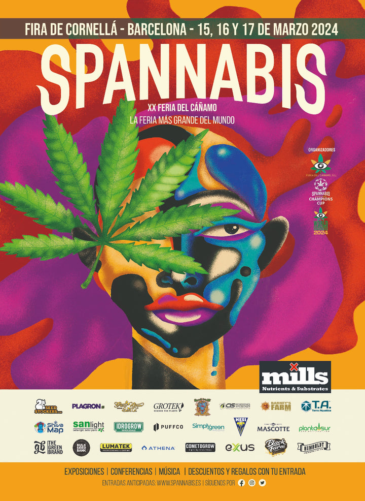 Top 5 Cannabis Festivals