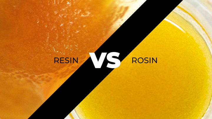 The Difference Between Cannabis Resin and Rosin