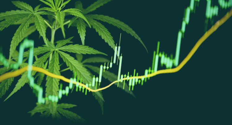 Top 5 Most Prolific Cannabis Stocks