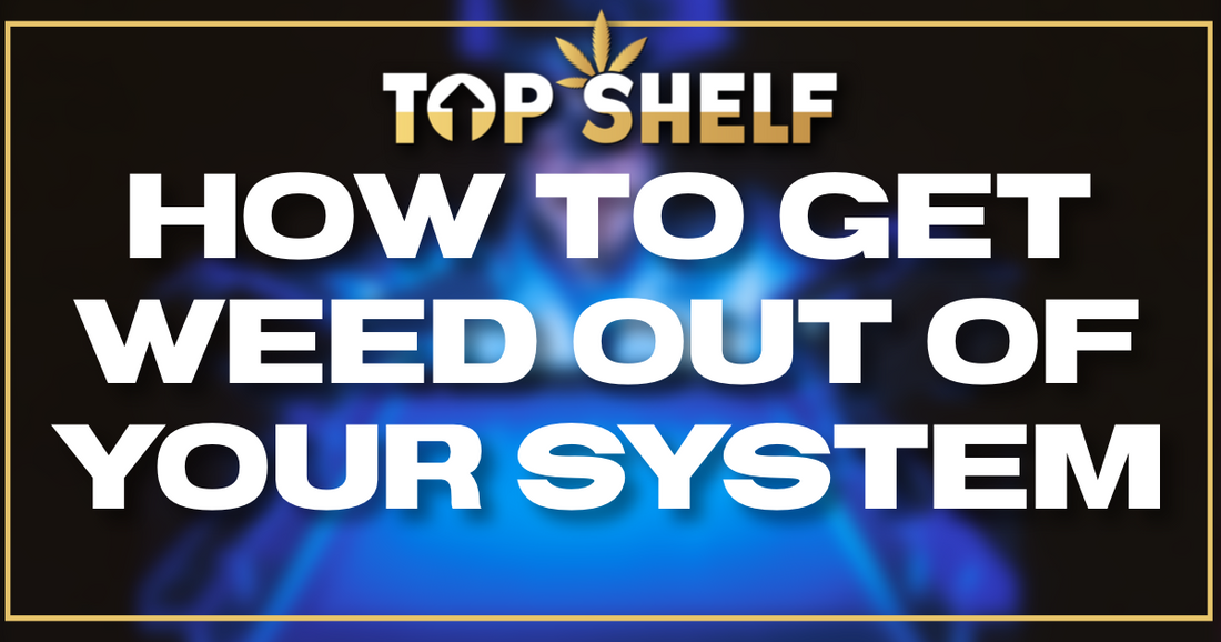 How To Get Weed Out of Your System