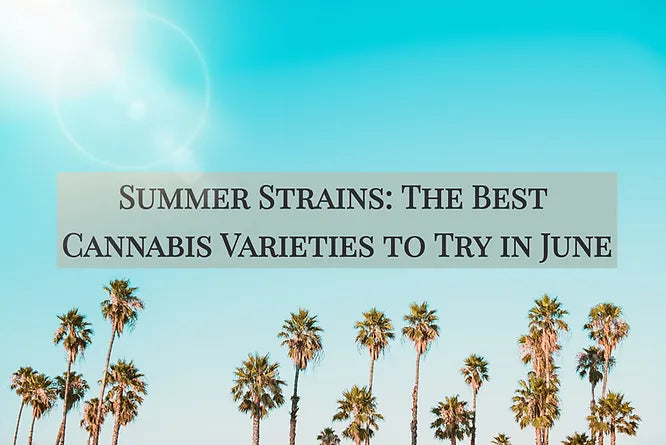 Summer Strains: The Best Cannabis Varieties to Try in June