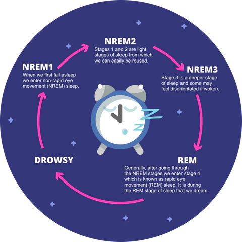 Cannabis and Dreams: Investigating Its Effects on Sleep Patterns