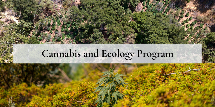 Top 5 Cannabis-Friendly Ecological Restoration Projects for Earth Care