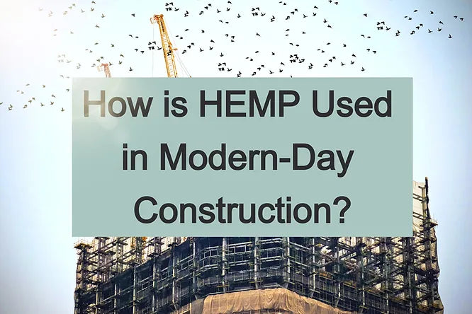 How is Hemp Used in Modern Day Construction?