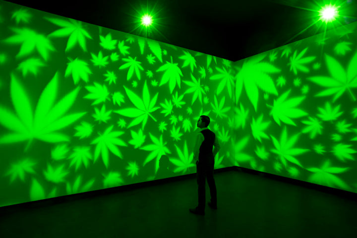 Top 5 Cannabis-Friendly Art Galleries and Museums