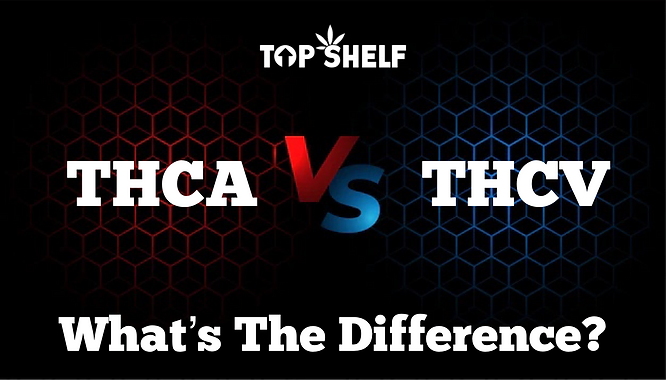 THCA vs THC-V: What's The Difference?