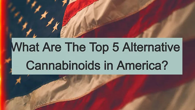 What Are The Top 5 Alternative Cannabinoids in America?