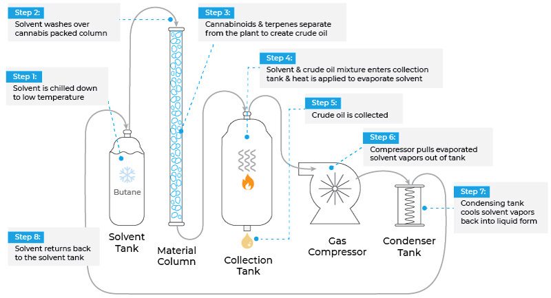 Unveiling the Process: How Delta 8 is Extracted from Hemp