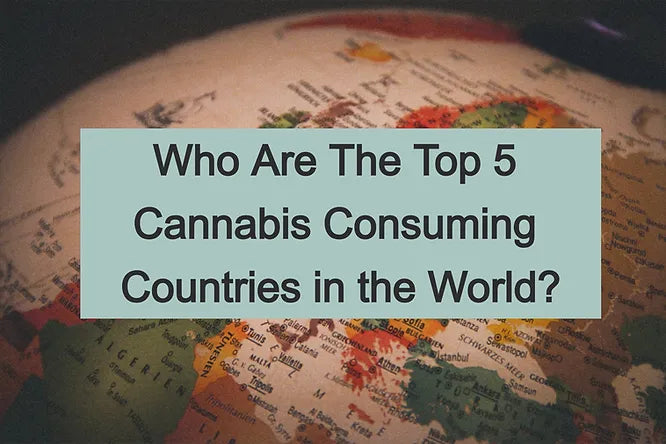 Who Are The Top 5 Cannabis Consuming Countries in The World?