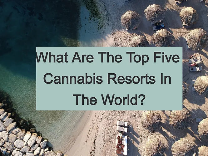 What Are The Top Five Cannabis Resorts In The World?