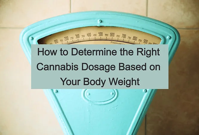 How to Determine the Right Cannabis Dosage Based on Your Body Weight