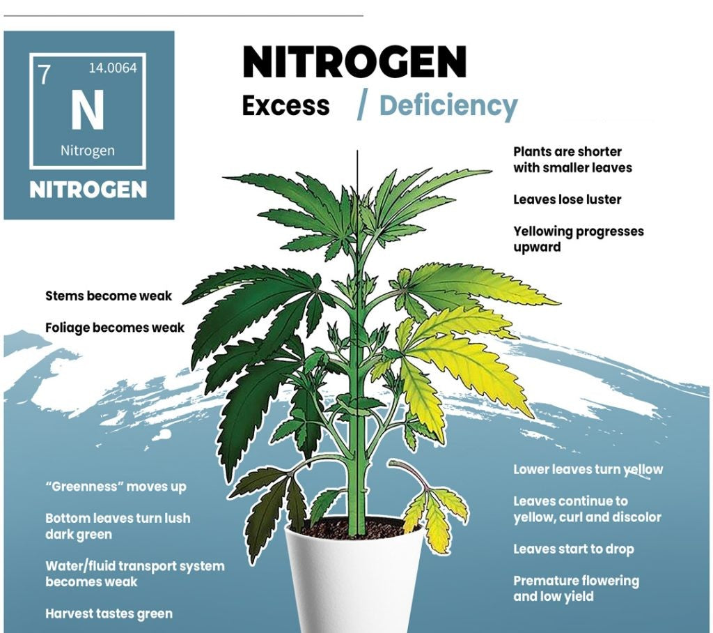 Key Nutrients Needed for Growing Cannabis