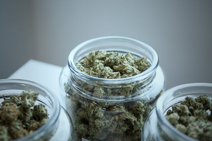 How to Safely Store Your Cannabis at Home