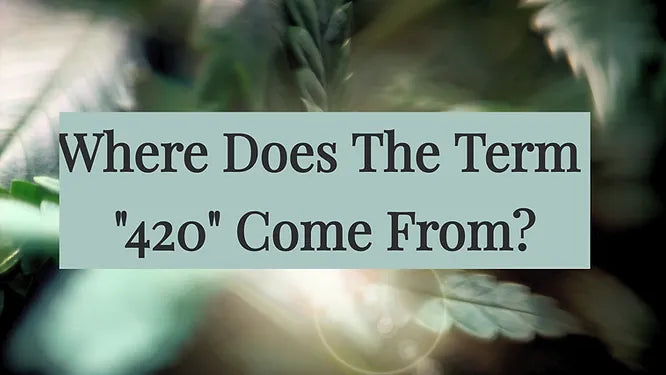 Where Does The Term "420" Come From?