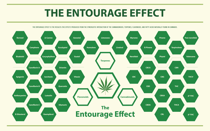 The Entourage Effect: Understanding the Interaction of Cannabis Compounds