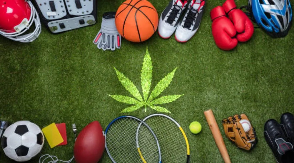 Top 5 Cannabis-Friendly Sporting Events to Attend