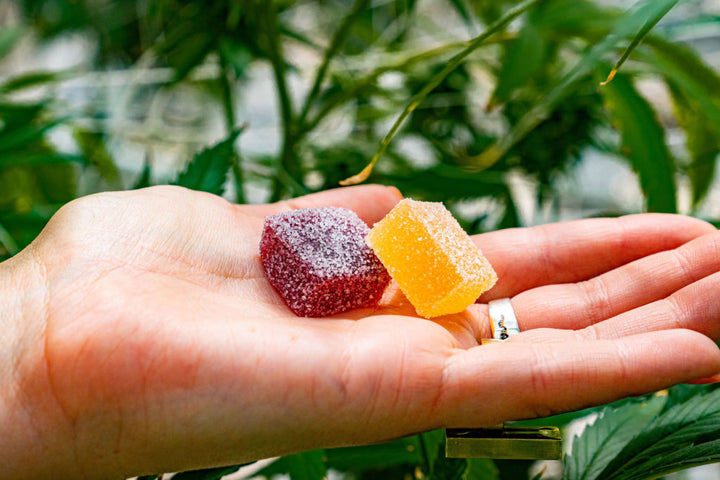 How Are Cannabis Gummies Made?