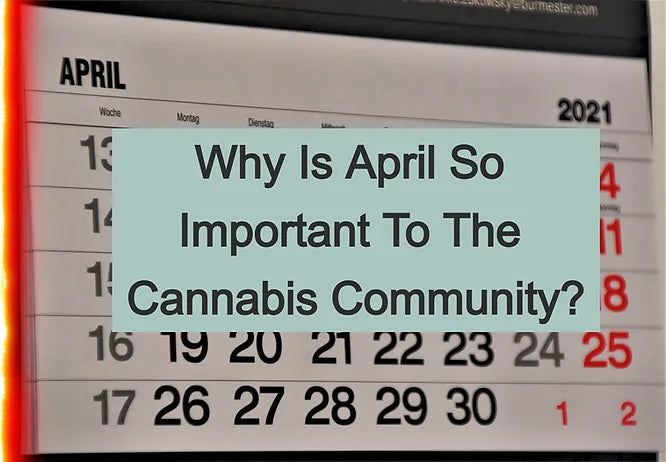 Why Is April So Important To The Cannabis Community?