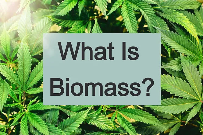 What is Biomass