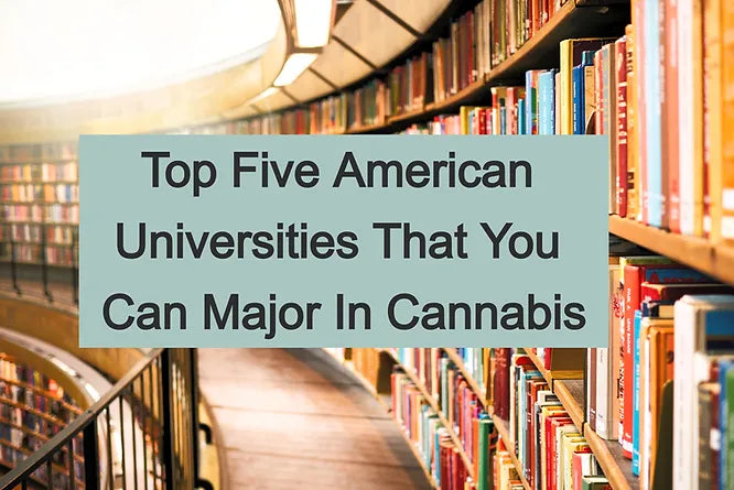 Top Five American Universities That You Can Major In Cannabis