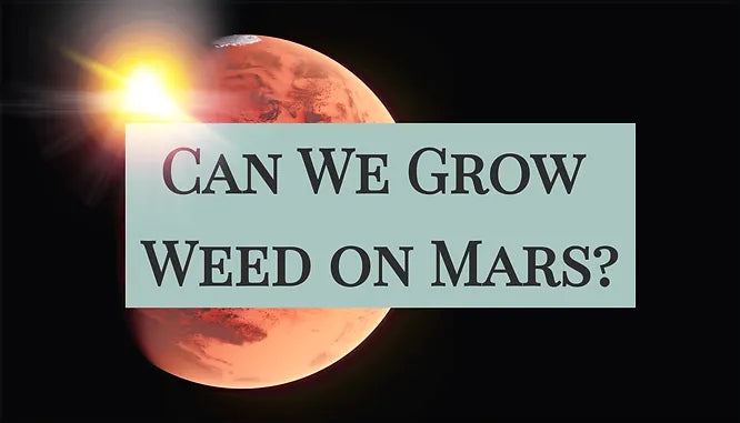 Can We Grow Weed on Mars?