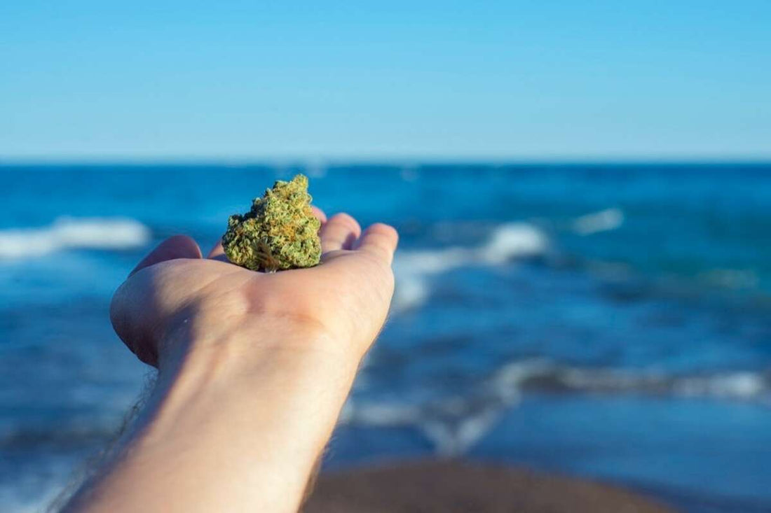 Title: Top 5 Cannabis-Friendly Beaches for a Relaxing High