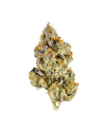 Indoor THCA Flower Oreoz (Indica) - Bulk