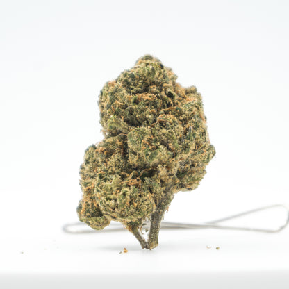 Melon Runtz Bud.jpg